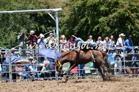 Taralga2015_3700