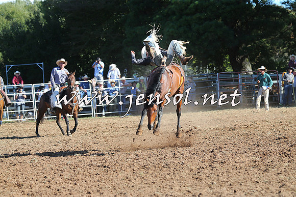 Taralga2015_5546