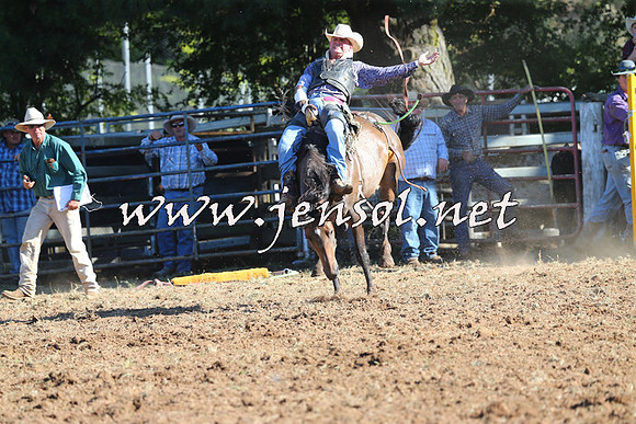 Taralga2015_5682