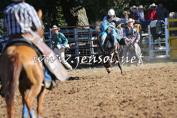 Taralga2015_5838