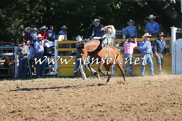 Taralga2015_5530