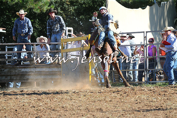 Taralga2015_5612