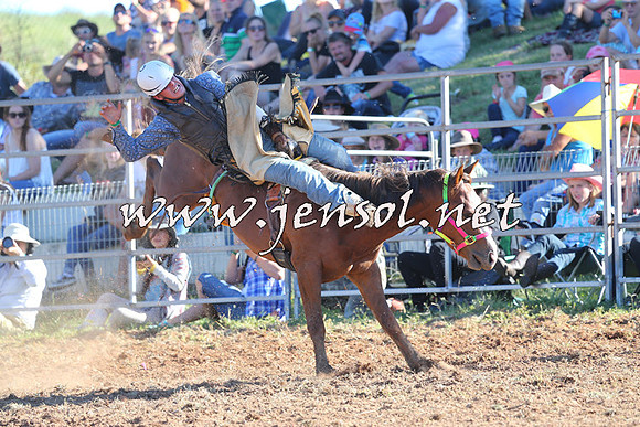 Taralga2015_5621