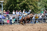 Taralga2015_3705