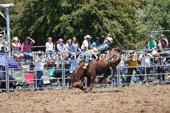 Taralga2015_3705