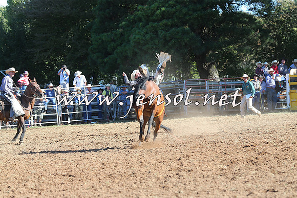 Taralga2015_5551
