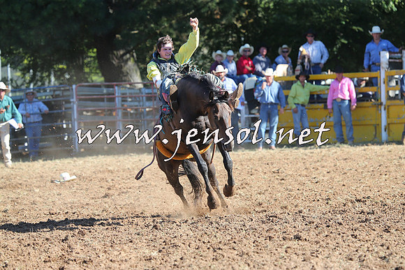 Taralga2015_5508