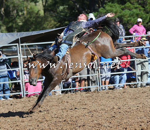Taralga2015_5719