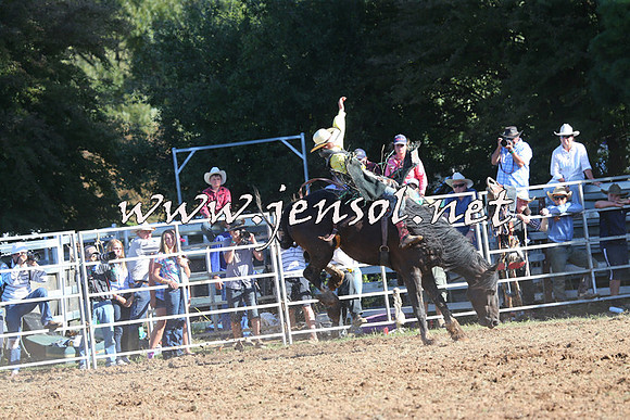 Taralga2015_5785