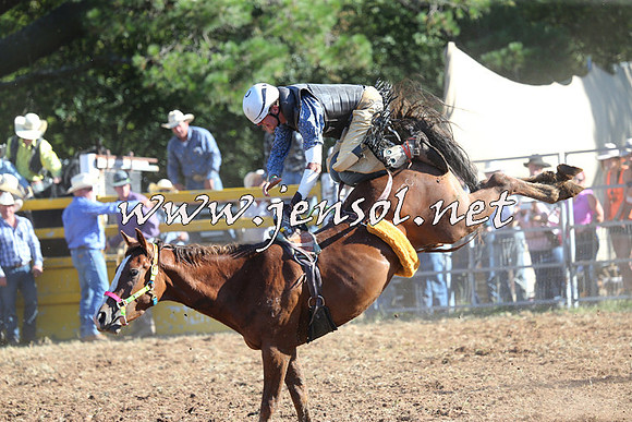 Taralga2015_5666