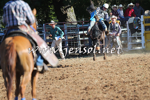 Taralga2015_5834