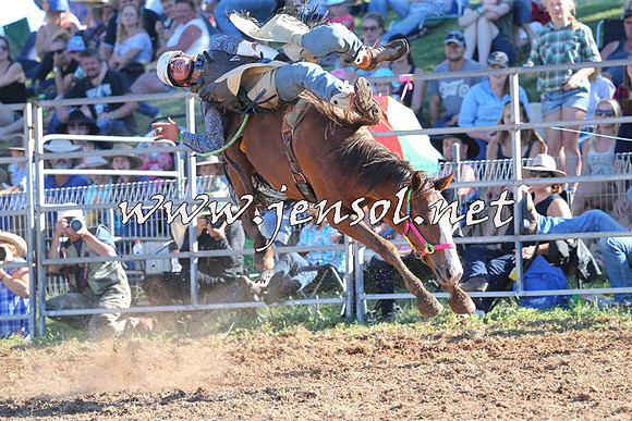 Taralga2015_5642