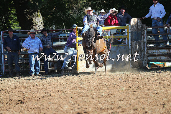 Taralga2015_5680