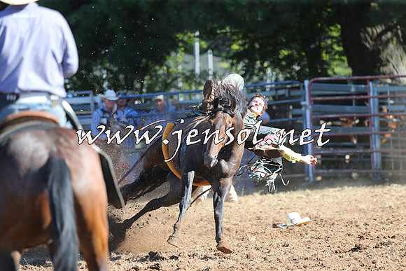 Taralga2015_5497