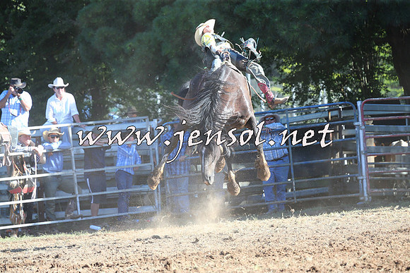 Taralga2015_5788