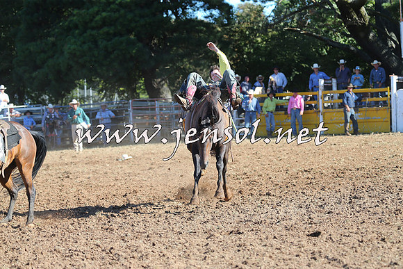Taralga2015_5502