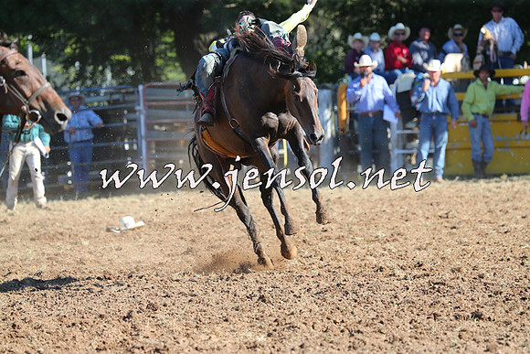 Taralga2015_5488