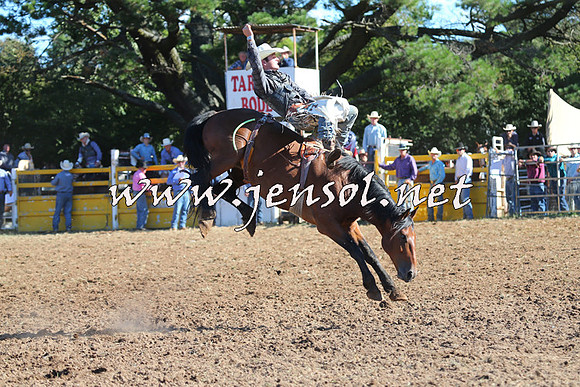 Taralga2015_5558