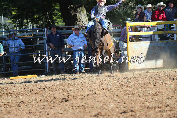 Taralga2015_5693