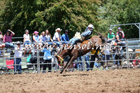 Taralga2015_3707