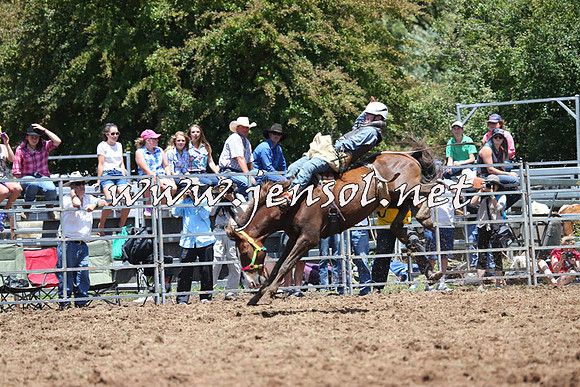 Taralga2015_3707