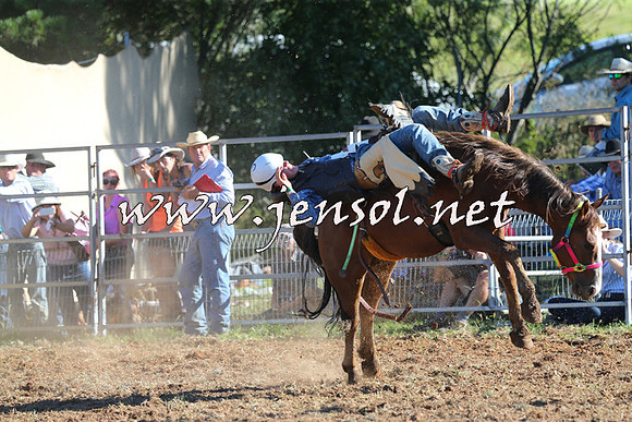 Taralga2015_5618