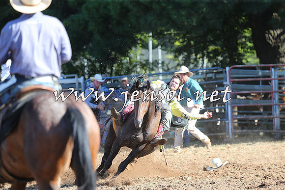Taralga2015_5494
