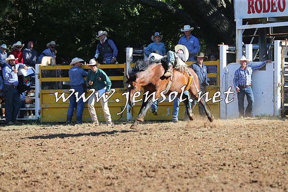Taralga2015_5528