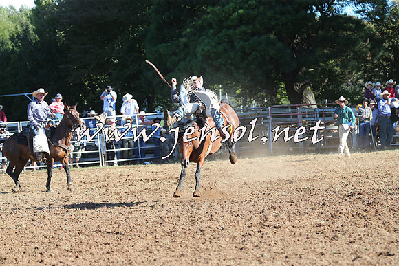 Taralga2015_5554