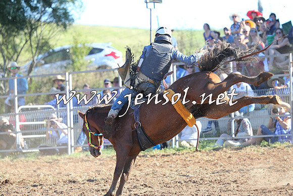 Taralga2015_5649
