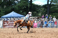 Taralga2015_3688