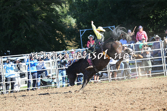 Taralga2015_5764