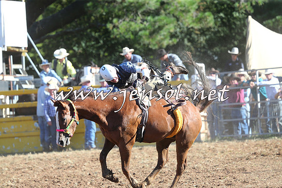 Taralga2015_5665