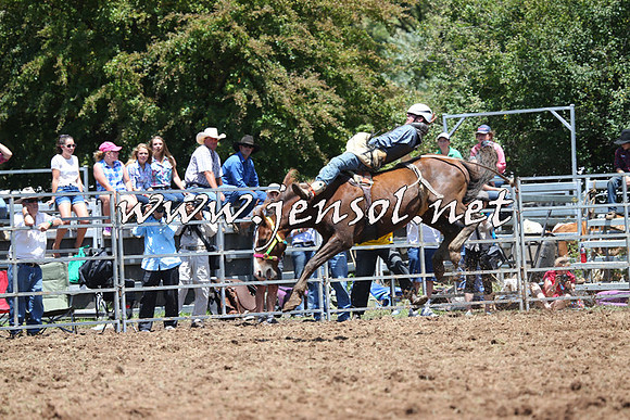 Taralga2015_3703