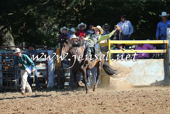 Taralga2015_5469