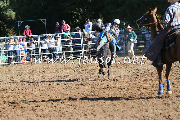 Taralga2015_5846