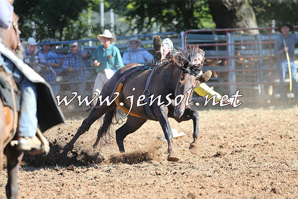 Taralga2015_5485