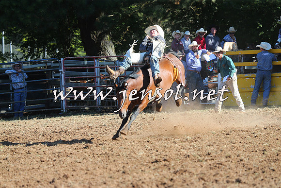 Taralga2015_5539