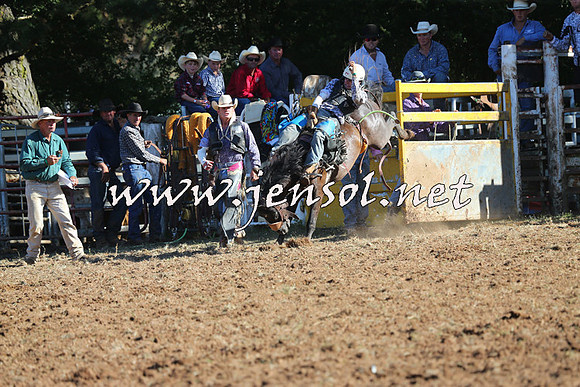 Taralga2015_5826