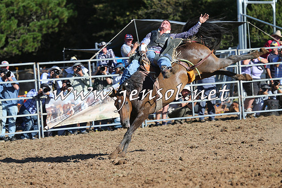 Taralga2015_5720