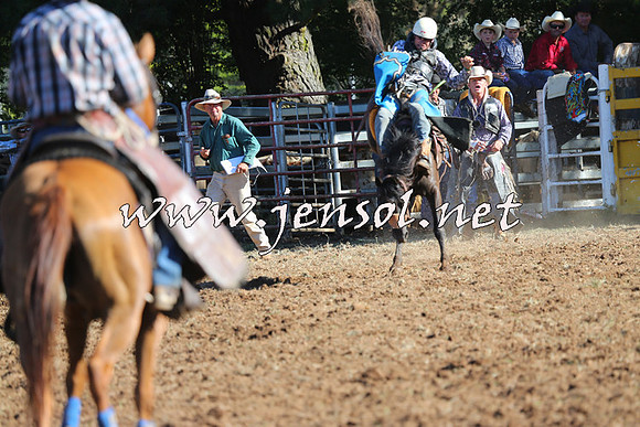 Taralga2015_5835