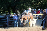Taralga2015_5429