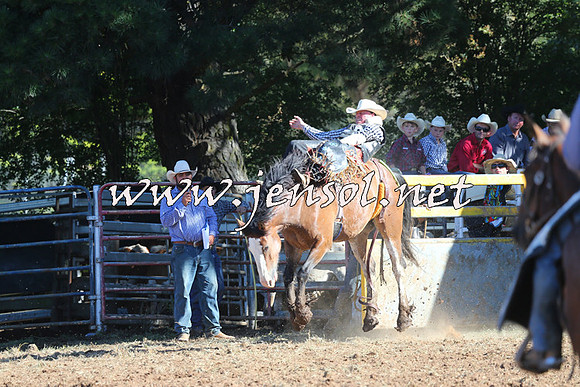Taralga2015_5429
