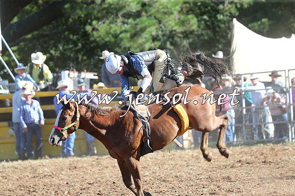 Taralga2015_5667