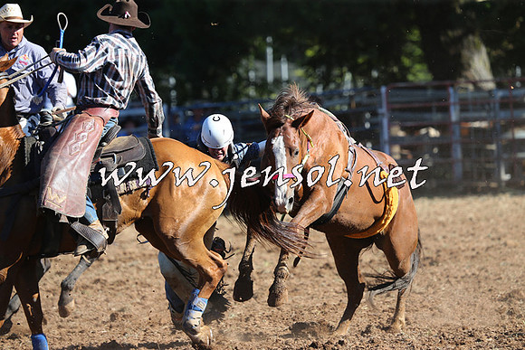 Taralga2015_5676