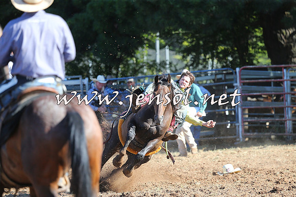 Taralga2015_5498