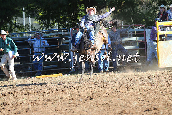 Taralga2015_5687