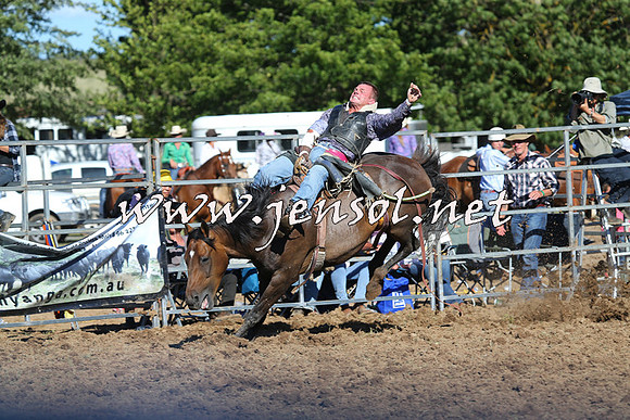 Taralga2015_5725