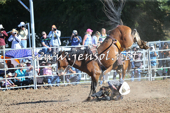 Taralga2015_5458