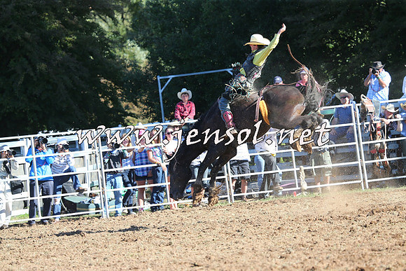 Taralga2015_5759